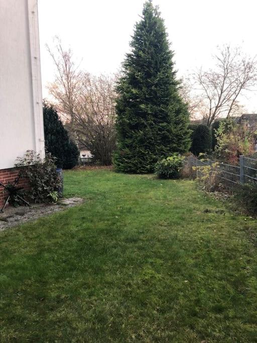 Ferienwohnung Bergbluete 브라운라제 외부 사진