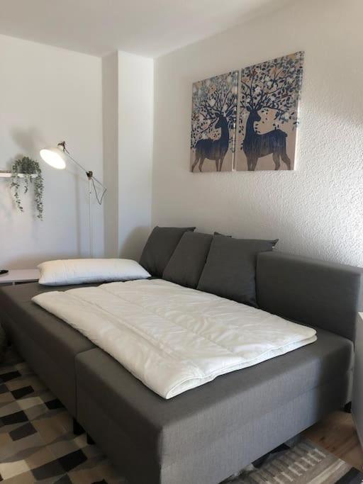 Ferienwohnung Bergbluete 브라운라제 외부 사진
